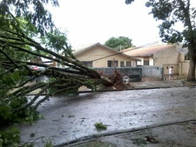 Temporal provoca estragos em Maringá e Sarandi